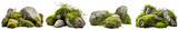 Fototapeta  - Large rocks with overgrown foliage and moss, plants and foliage around, green nature, isolated on transparent background generative ai