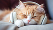 Cute red fluffy cat with headphones on listening to music wtih closed eyes