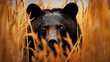 bear grizzly hidden predator photography national geographic style 35mm documentary wallpaper