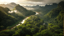 Amazon Rainforest, Latin America, Summer, Dense Jungle, Living Nature