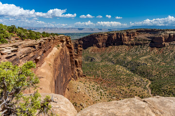 Wall Mural - Virew of Colorado National Monumnet from Rim Rock Drive