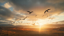Flock Of African Birds Flying Against Dramatic Sky, Rays Of Sunlight Piercing Through Clouds