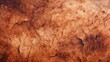 Maple Burl Wood Grain Texture Background
