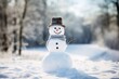 A friendly snowman smiling in a calm winter landscape.