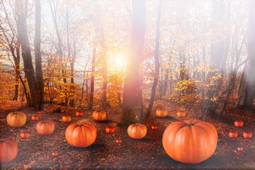 Sticker - Thanksgiving or Halloween fresh pumpkins in a scary autumn forest.