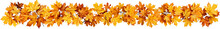 Isolated Autumn Foliage Leaves Border Decoration/Illustration