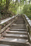 Fototapeta Dziecięca - Long staircase on trail to Mingo Falls