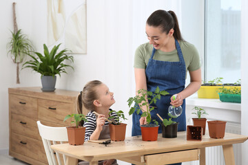 Canvas Print - Mother and daughter taking care of seedlings in pots together at wooden table in room