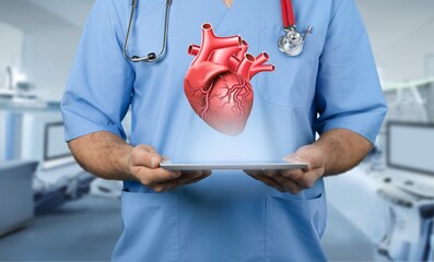 Wall Mural - Doctor hold heart model in hand