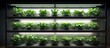 © The 2R Artificiality - Indoor farm system utilizes and LED light to cultivate plants on shelves
