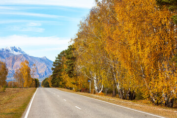 Wall Mural - scenic autumn landscape with a road leading to the foothill resort village of arshan along bright ye
