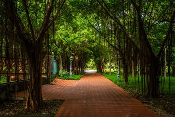 Wall Mural - Some pictures of Ho Coc tourist area, small landscapes in Ho Coc tourist area, houses, coconut trees, beautiful lawns