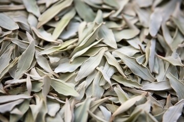 Sticker - macro shot of dry herbal tea leaves texture