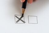 Fototapeta  - Postawiony krzyżyk w polu do głosowania na karcie wyborczej 