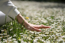 Close-up Of Teenage Girl Touching Daisy Flowerbed On Field