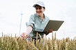© Westend61 - Smiling agronomist examining wheat crops with laptop at field