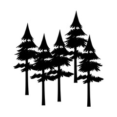 Wall Mural - forest icon vector. wood illustration sign. pine tree symbol. christmas tree logo.