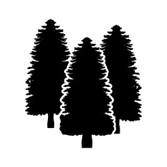 Wall Mural - forest icon vector. wood illustration sign. pine tree symbol. christmas tree logo.