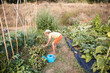 © Westend61 - Boy bending and planting in vegetable garden