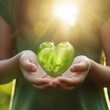 Woman hands holding green heart, Happiness moment, Health care, donate, green day, World heart day, world health day, Hope, Gratitude, Kindness and Save world's day concept, Generative AI.