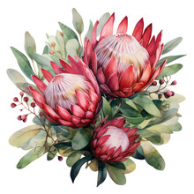 Tropical Pink Protea Flower And Leaf. Watercolor Illustration. Generative AI
