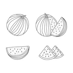 Canvas Print - Watermelon fruit in doodle hand drawn style. Set of vector illustrations isolated on white background.