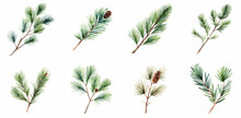 Fir Tree Watercolor Illustration Set. Generative Ai