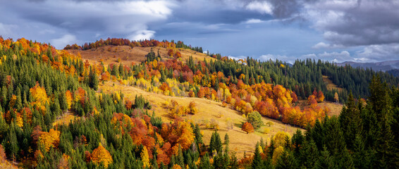 Wall Mural - Panoramic fall scenery. Landscape with orange, red, green tree. Fields and forests. The lawn is enlightened by the sun rays. Touristic place Carpathians, Ukraine, Europe.