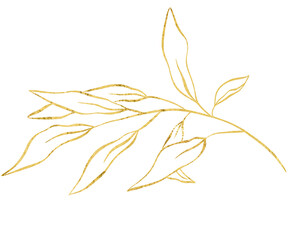 Botanical line art silhouette golden leaves, Golden Linear floral Leaves. PNG Gold luxury line collection. Hand drawn illustration in linear style, graphic clipart for wedding invitation