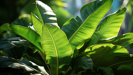 beautiful botanical shot of leaves
