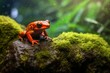Closeup of a red poisonous frog lying on a stone, facing away, in the green rainforest. Generative AI