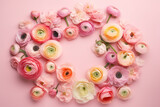 Beautiful ranunculus flowers and green leaves on pink background, flat lay