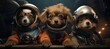 Astronaut dogs in space