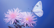 Beautiful White Butterfly On White Flower Buds On A Soft Blurred Blue Background Spring Or Summer In Nature. Gentle Romantic Dreamy Artistic Image, Beautiful Round Bokeh.