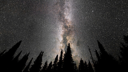 Stars & Milkyway above treeline near Montana Idaho Border - Nightscape meteor shower