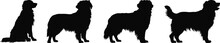 golden retriever dog breed black silhouette logo set