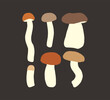  Flat mushroom illustration set. Vector illustration of edible mushrooms. Autumn forest poster