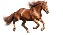 Running Horse Pose On Transparent Background