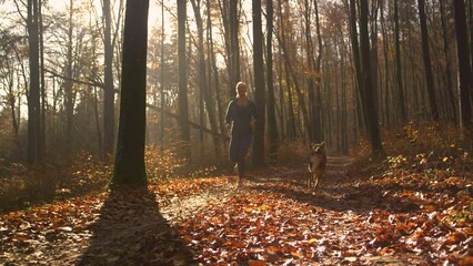 Wall Mural - LENS FLARE, PORTRAIT Smiling woman runs in autumn forest with her adorable dog. They are running along leaf covered path under tall deciduous trees in golden morning light. Sunny day for outdoor sport