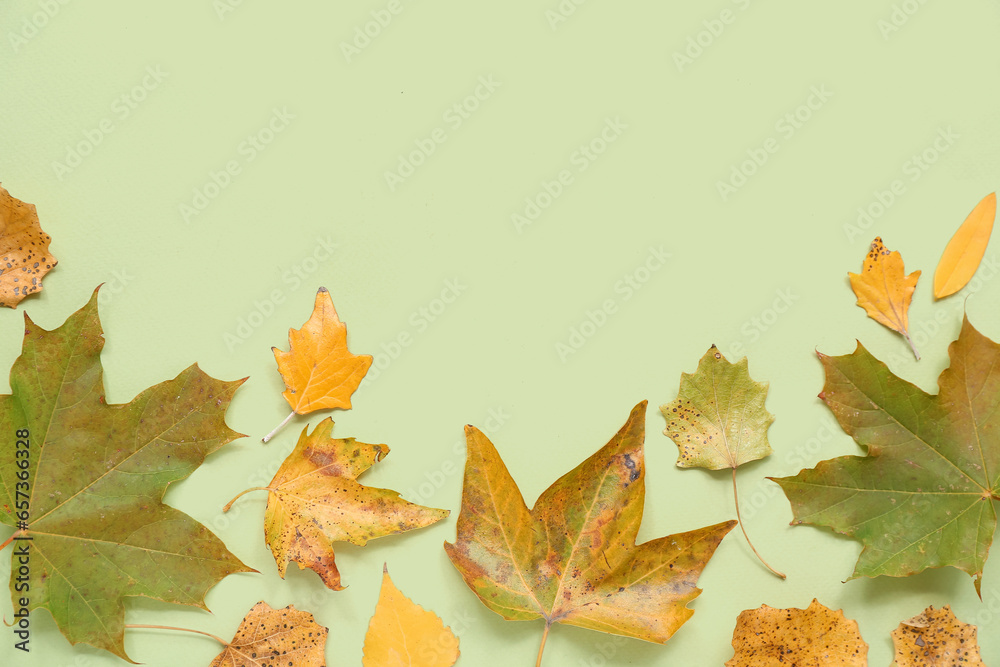 Beautiful autumn leaves on green background