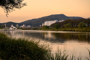 Wall Mural - Suncheon Bay National Garden at sunset in Jeollanam-do, South Korea