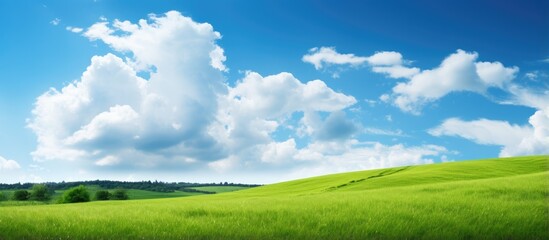 Poster - Green grass slope with blue sky and clouds