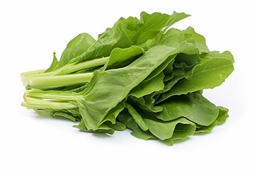Poster - Generative AI : Close up lactuca sativa leaves isolated on white background.