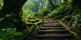 Fototapeta  - enchanted path through magical forest cinematic 4k