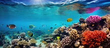 A Vibrant Underwater Ecosystem Filled With Diverse Marine Life Including Fish Coral And Waves Perfect For Scuba Diving With Copyspace For Text