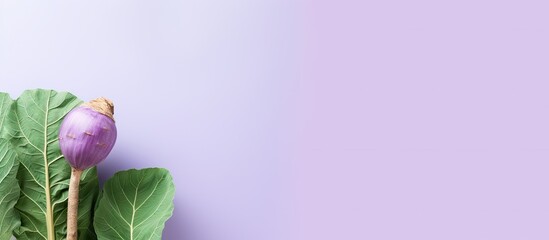 Poster - Taro on a isolated pastel background Copy space