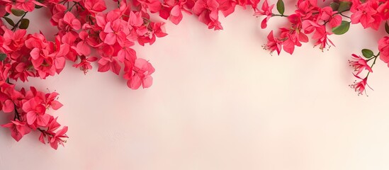 Poster - Red and pink bougainvillea flowers scattered on a isolated pastel background Copy space isolated bouquet