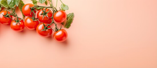Poster - copy space image on isolated background cutout of a fresh cherry tomato