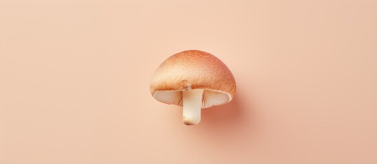 Wall Mural - copy space image on isolated background with mushroom