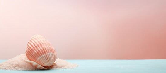 Poster - copy space image on isolated background with shadow babylonia areolata seashell in a large ocean